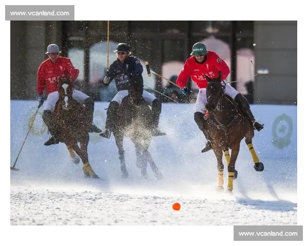 格力犬高速追逐兔子比赛精彩瞬间全记录